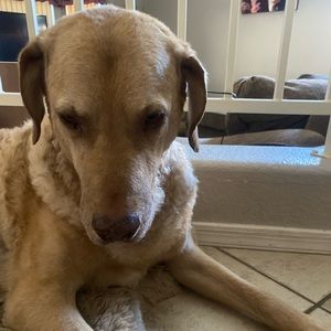 Meet your Posher, Elle